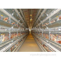 design layer chicken cages for poultry farm